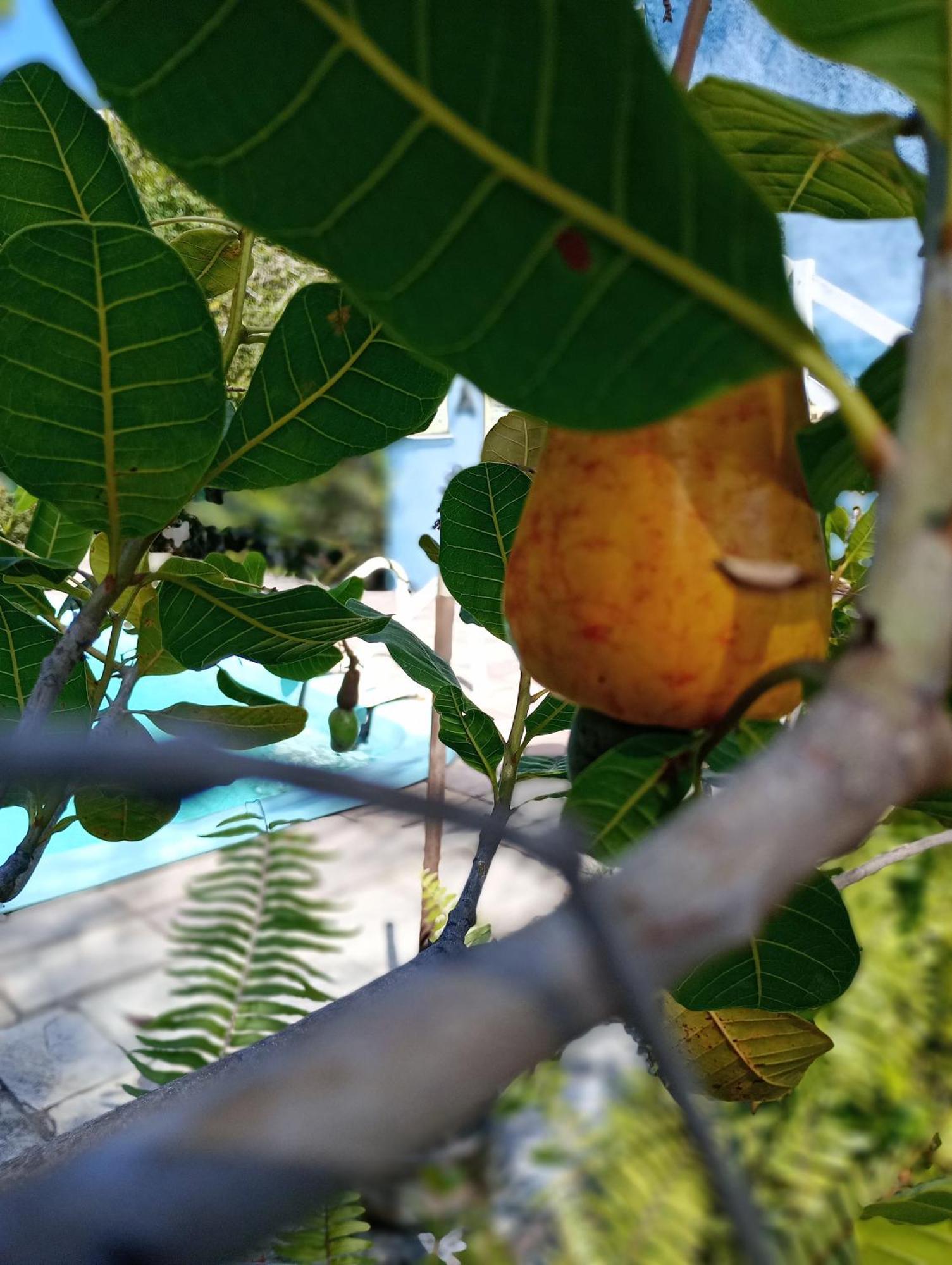 Chales Caicara Serrambi Pôrto das Galinhas Dış mekan fotoğraf